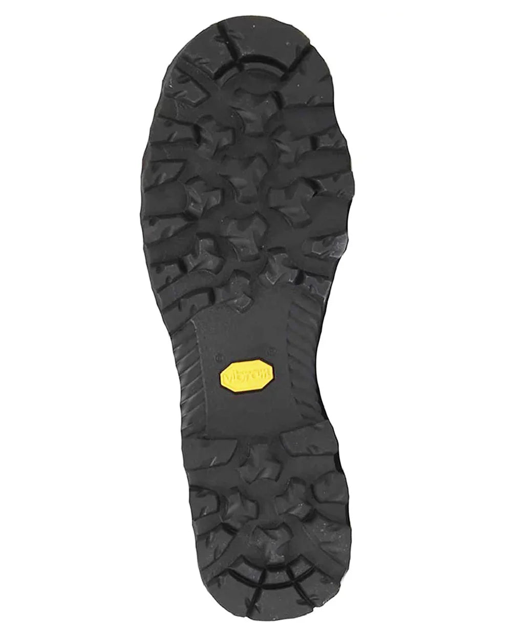 Aigle Altavio Mid GTX Boot